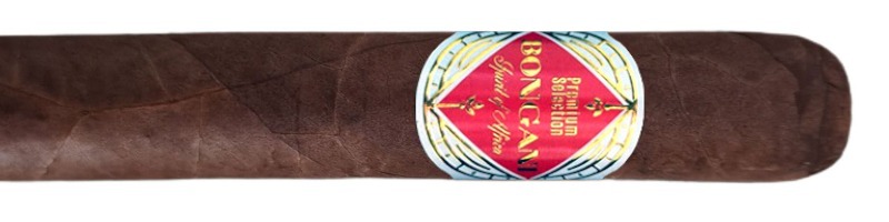 Bongani - Lancero