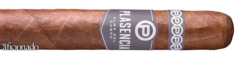 Plasencia - Alma del Campo Madroño (Box of 10)