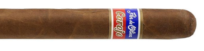 Oliva-Flor-De-Oliva-Corojo